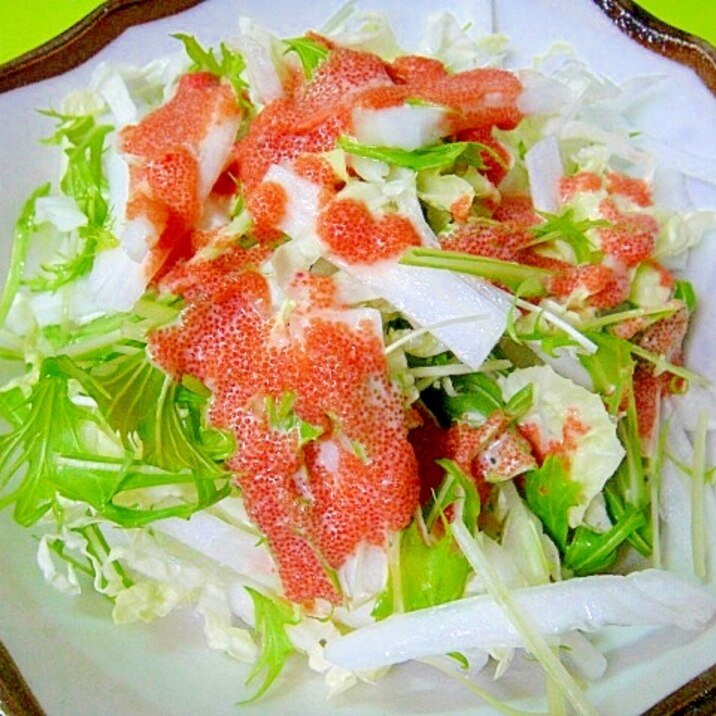 白菜と水菜のサラダ☆明太子ソース